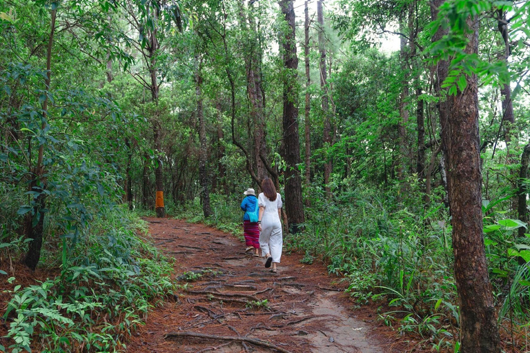 Randonnée dans le parc national de Doi Inthanon et randonnée sur le sentier de Pha Dok SiewVisite du parc national de Doi Inthanon et randonnée sur le sentier Pha Dok Siew