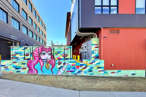 Denver: North RiNo Art District Graffiti and Street Art Tour