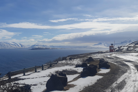 Akureyri-Siglufjörður; Half day to the arctic coastline