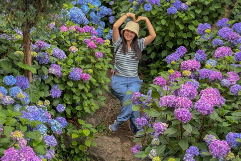 Jeju Island: 1 Day Private Tour