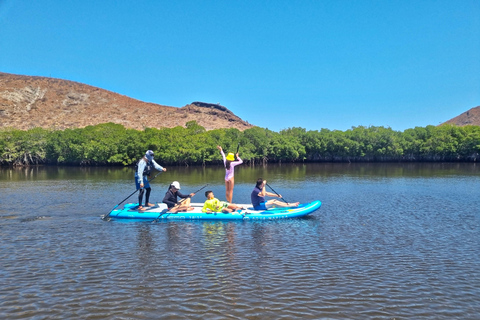 La Paz: Sea Lions & Mega-Paddleboard Tour in Balandra