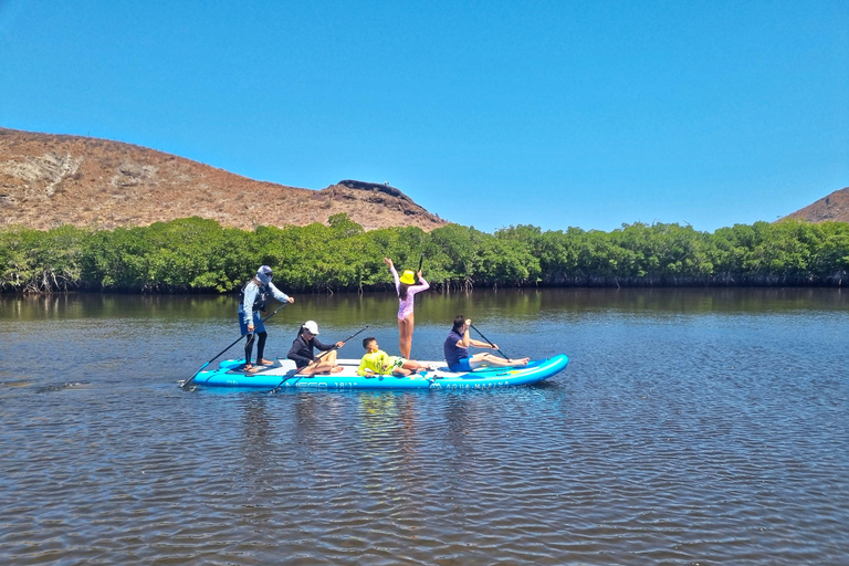 La Paz: Sea Lions & Mega-Paddleboard Tour in Balandra