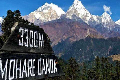 Hidden Himalayas: 8-Day Mohare Danda Trek via Nagi Village
