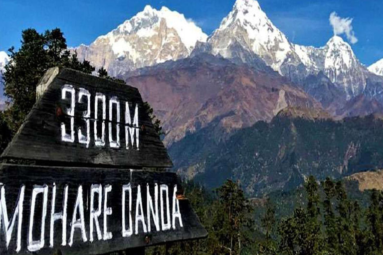 Hidden Himalayas: 8-Day Mohare Danda Trek via Nagi Village
