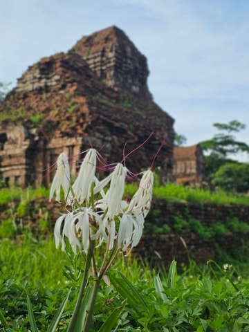 My Son Sanctuary Morning/Afternoon with Boat Trip and Banhmi