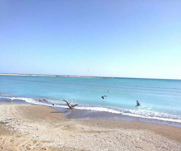 Private Bucharest Tour: Discover Constanța & Black Sea Coast