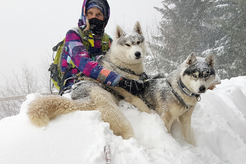Nordreisa: guided snowshoe tour with a husky Guided snowshoe tour 2h with a husky & snack & campfire