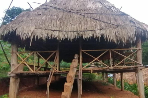 Panama Stad: Emberá dorp tour met overnachting