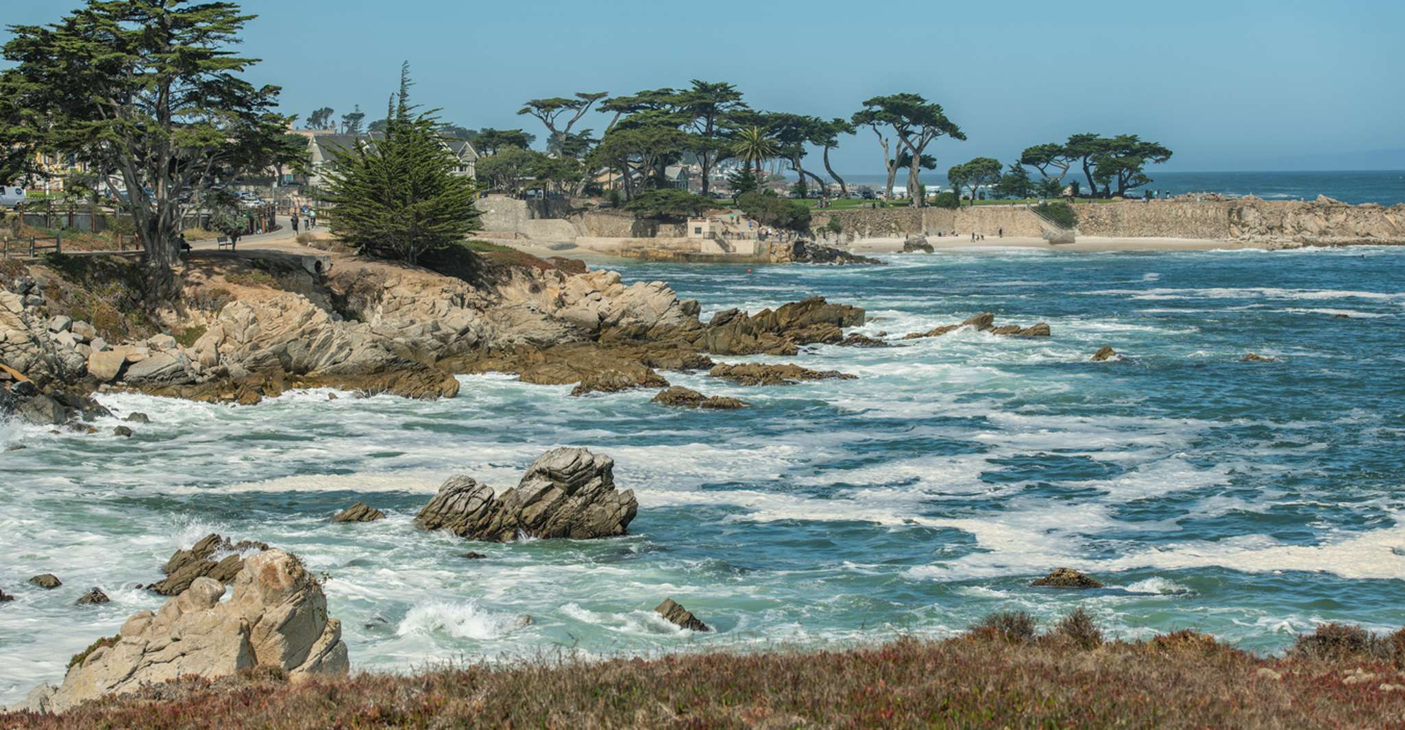 Monterey Peninsula Sightseeing Tour along the 17 Mile Drive, Monterey ...