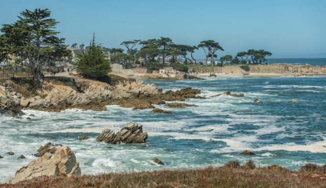 Giro turistico della penisola di Monterey lungo la 17 Mile Drive