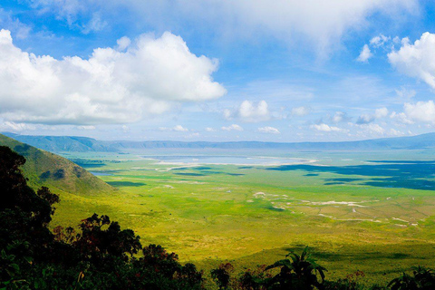 Kilimanjaro: 3-Day Serengeti and Ngorongoro Safari Tour