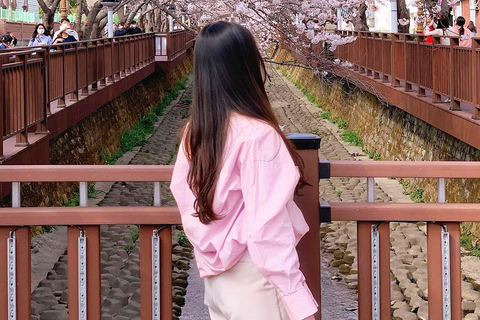 Seoul: Jinhae Cherry Blossom Tour with Busan Drop-off Option [Round Trip From Seoul] Jinhae Cherry Blossom Day Tour