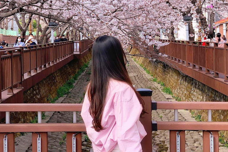 Seoul: Jinhae Cherry Blossom Tour with Busan Drop-off Option [Round Trip From Seoul] Jinhae Cherry Blossom Day Tour