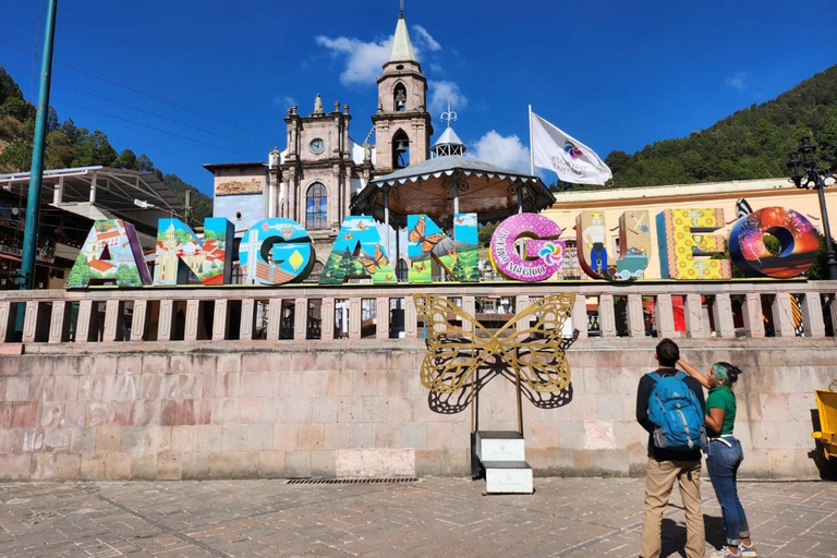 Tournée des papillons monarques au Mexique : Sierra Chincua et AngangueoPetit groupe