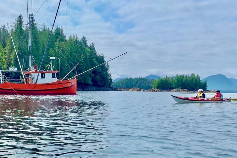 Ketchikan : Excursion en bateau rapide et en kayak de mer à Orca Cove