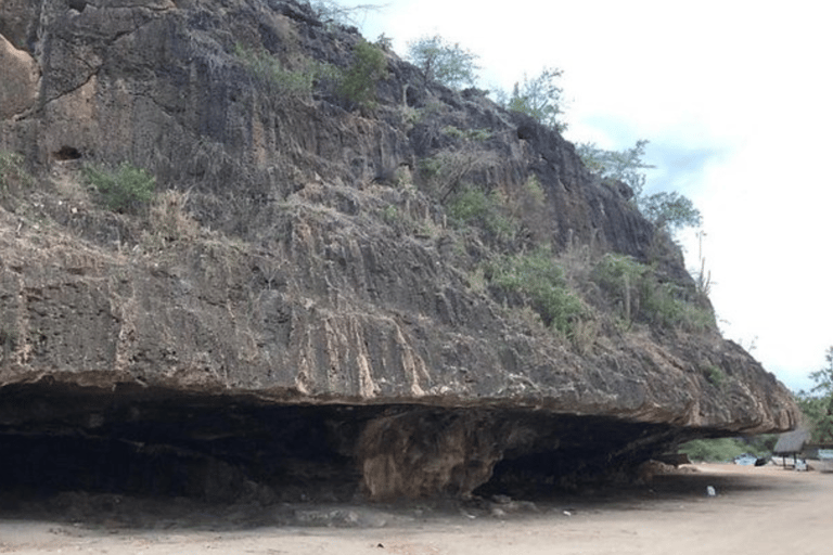Bahía de las águilas glamping experience from Santo Domingo