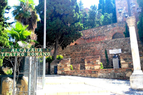 Málaga: Historic Center Walking Tour with Local Guide