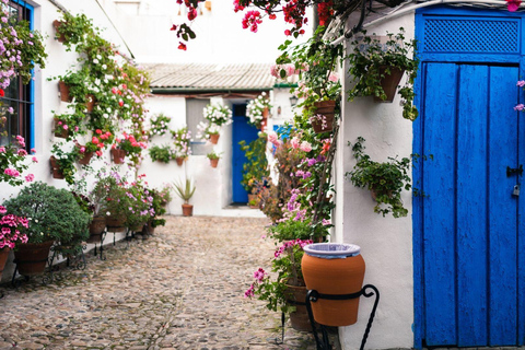 Circuit de 4 jours en Andalousie : Cordoue et Séville depuis MadridHôtel Chambre Simple