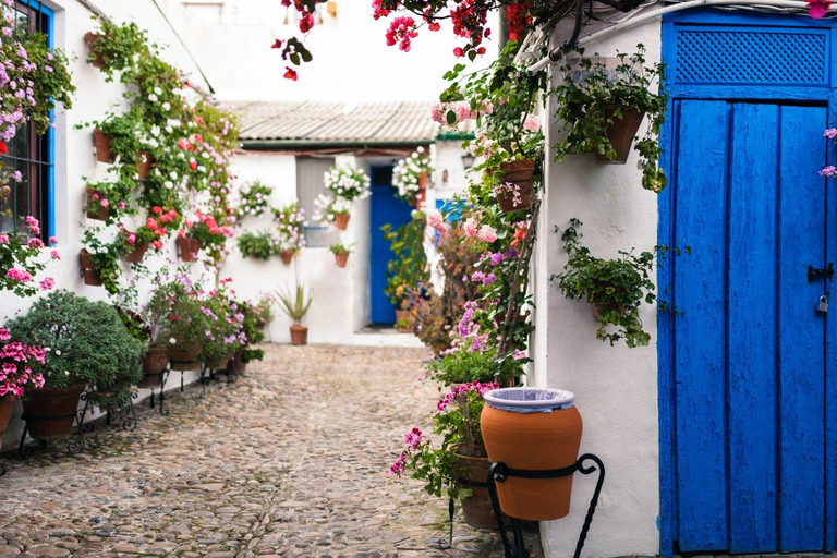 Circuit de 4 jours en Andalousie : Cordoue et Séville depuis MadridHôtel Chambre Simple