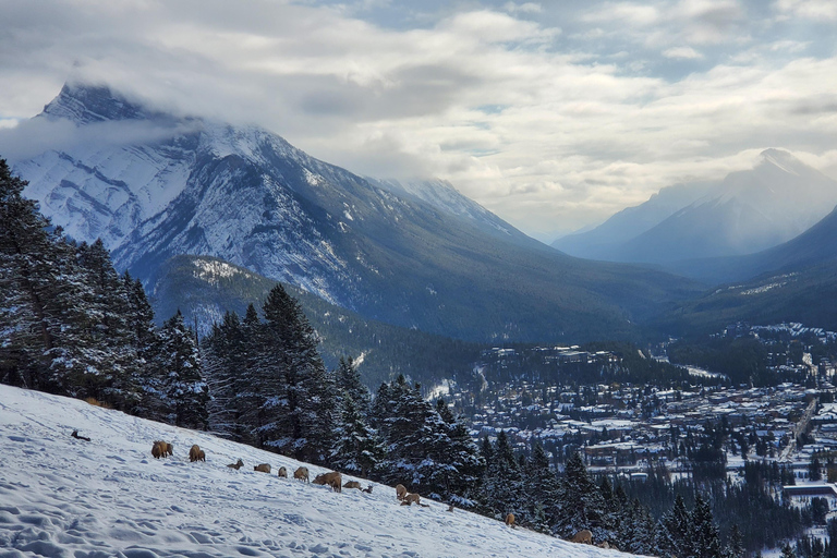 Calgary: Banff e Lake Louise: excursão de 2 dias com estadia num hotel