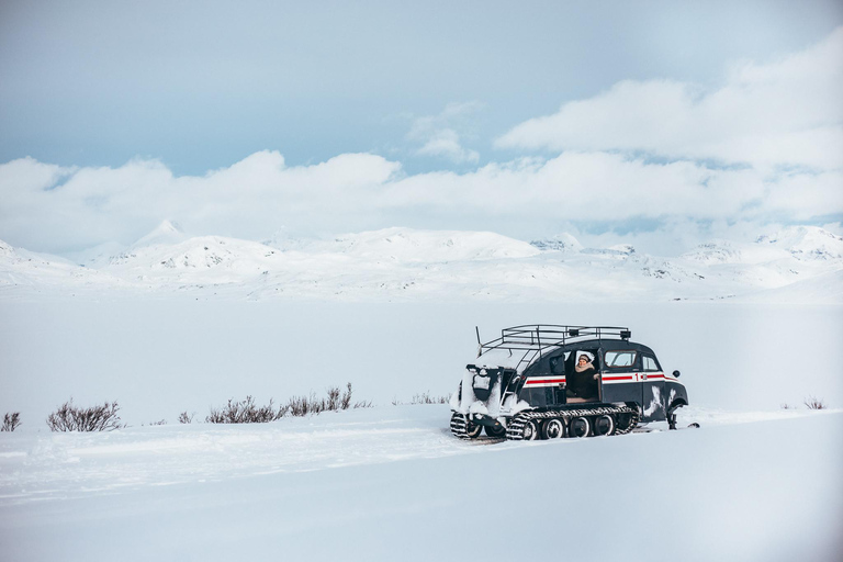 Erkunde Jotunheimen mit Schneekutsche und Schneeschuhen