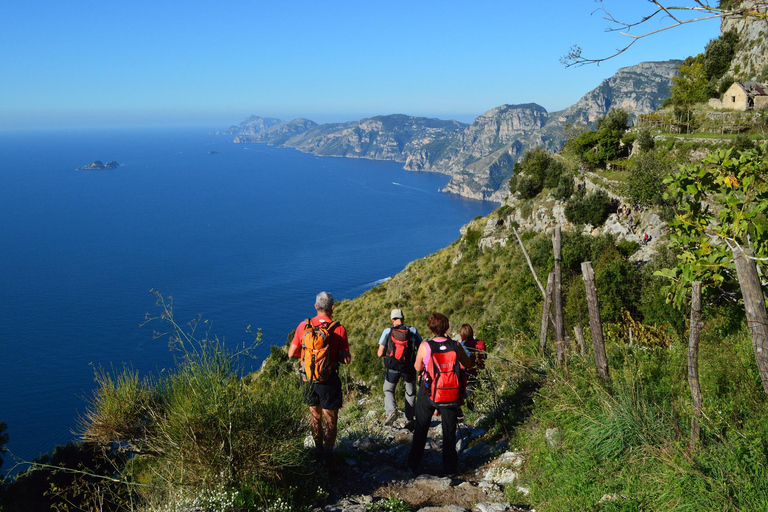 Sorrente : Randonnée guidée sur le sentier des Dieux avec transfert