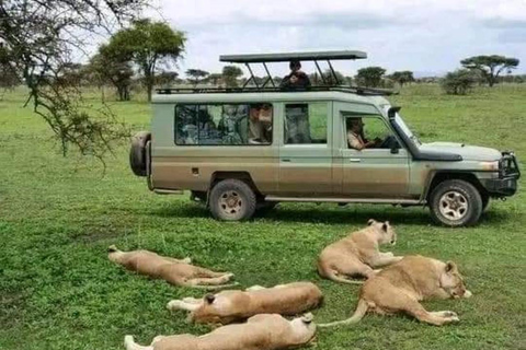 Sansibar: Safari Tagestour von Sansibar nach Mikumi