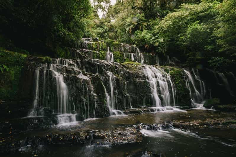 Excursão de ida de Invercargill a Dunedin através de Catlins