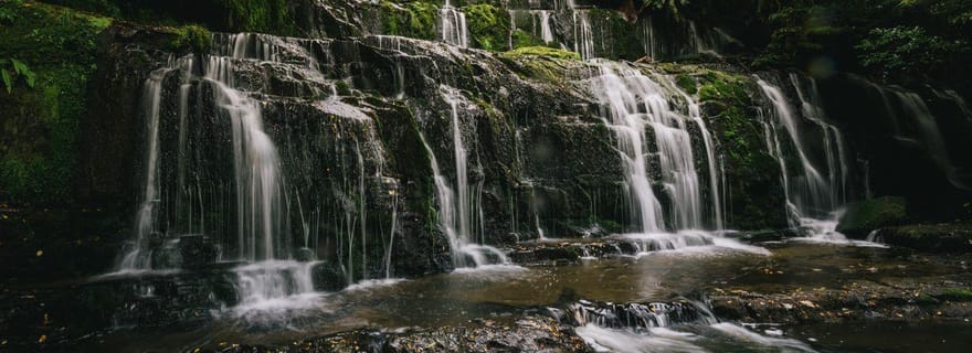 Excursion aller simple de Te Anau à Dunedin via Catlins et Invercargill
