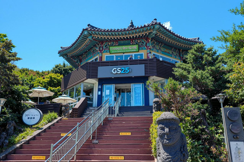 Jeju: UNESCO WestSouth & East Highlights 2 Days Combo Tour