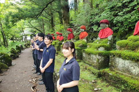 From Tokyo: Nikko Day Trip with Toshogu Shrine and Waterfall