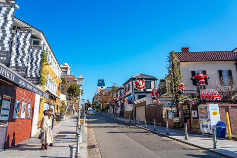 Osaka: Kobe hamn, Mt. Rokko kvällstur, Arima Onsen dagstur