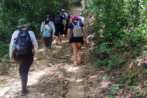 Barranquilla: Caminhada nos bosques baixos de obstion-juaruco