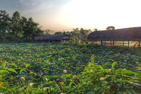 Hanoi Countryside Bike Tour: Rice Fields & Snake Village