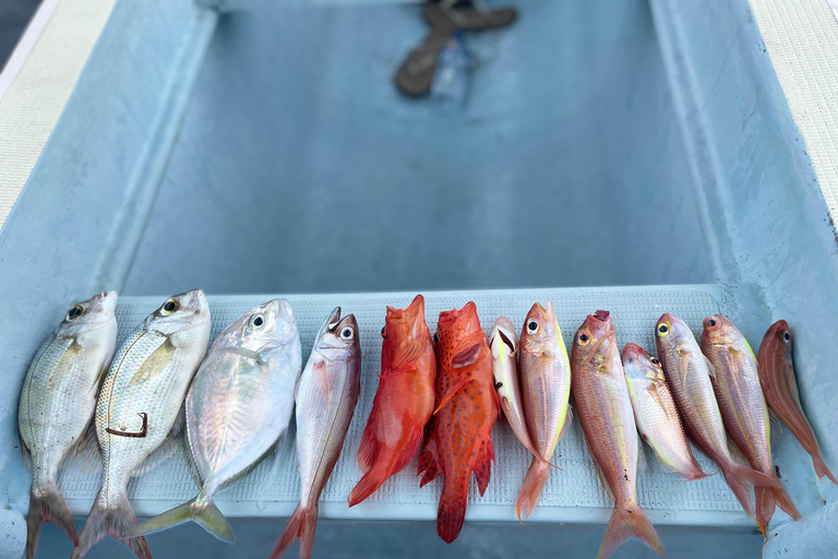 Bali/Lovina: Private Fishing Tour with Snorkeling Option Private Fishing Tour (With Transfer - South Bali Areas)