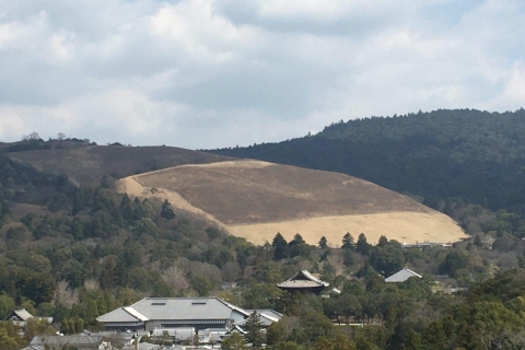 Halbtagestour mit privater Führung zu den Nara-Tempeln