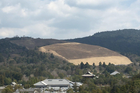 Visite guidée privée d'une demi-journée des temples de Nara