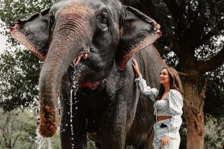 Jaipur: Rondleiding door Hathi Gaon Elephant Village