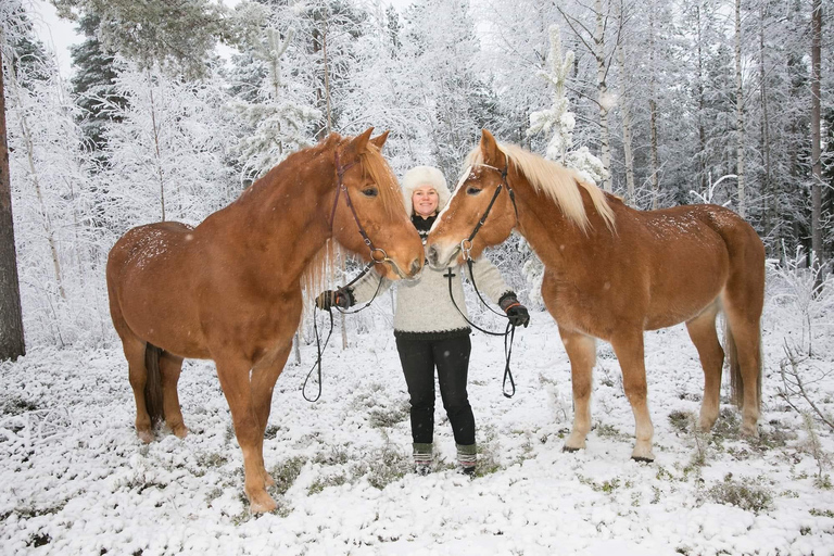 Rovaniemi : Tour d&#039;équitation avec des chevaux finlandais au SCV