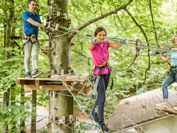 Rope Park Interlaken: Climbing Adventure with Entry Ticket