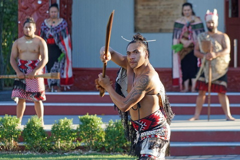 Bay of Island Tour - prywatna wycieczka z Auckland - 10 godz.