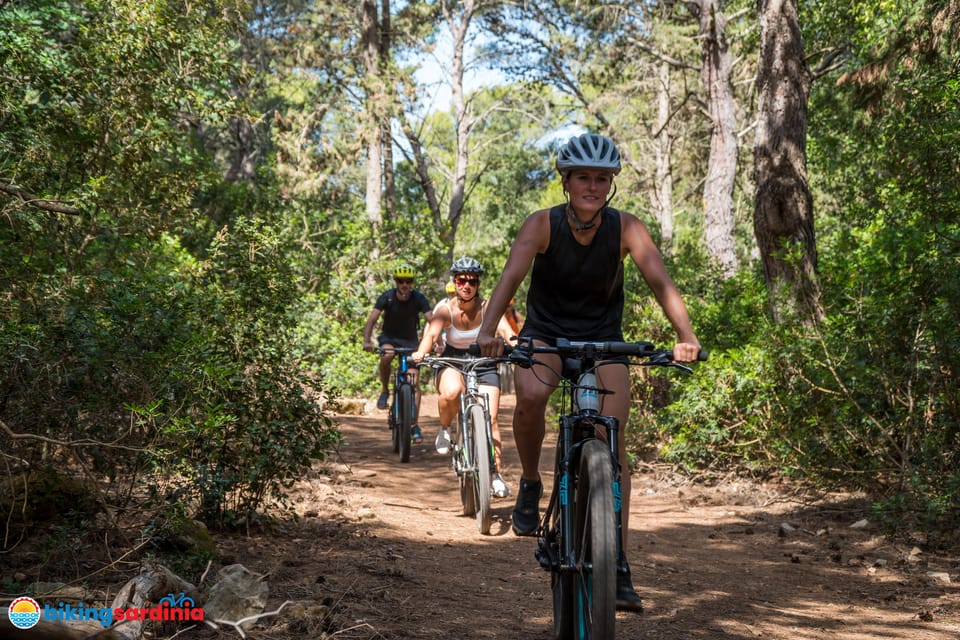 Alghero Recorrido En Bicicleta El Ctrica Por El Parque Natural De