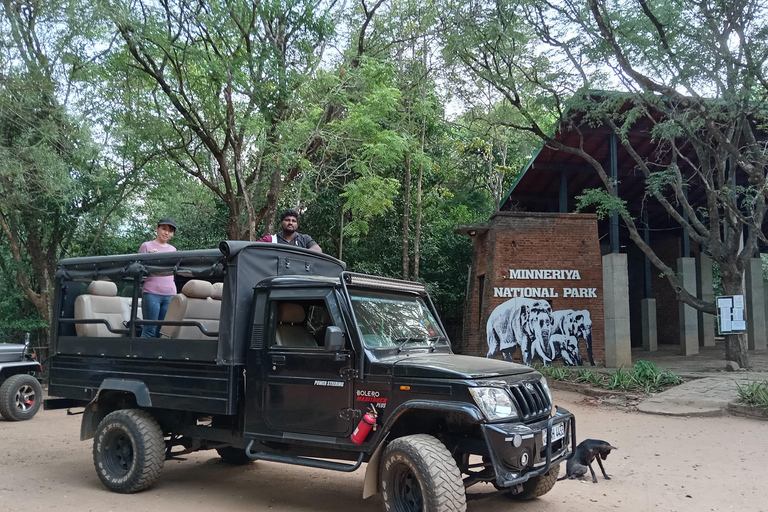 Minneriya: Nationalpark Jeep Safari von Sigiriya/DambullaVon Sigiriya aus: Minneriya National Park 4X4 Jeep Safari