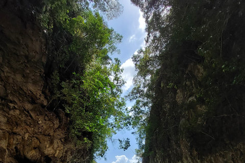 Krabi: ATV Jungle Bash & Kayak Odyssey in Din Daeng Mangrove