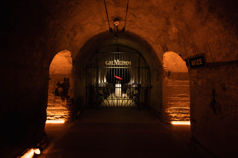 From Reims: Full day Mumm, family growers with lunch