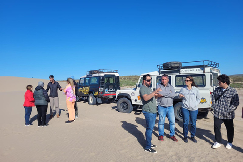 PUERTO MADRYN: PRZEŻYJ PRZYGODĘ 4 X 4 NA NAJPIĘKNIEJSZYCH PLAŻACH!