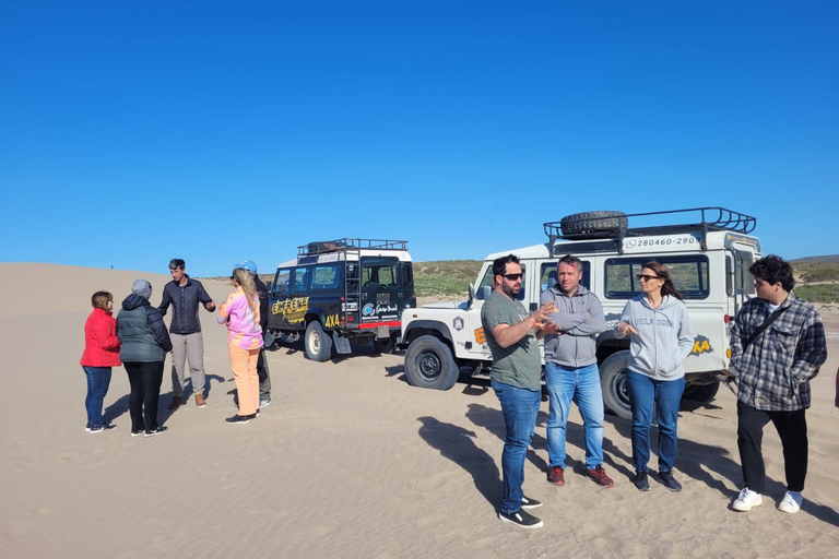 PUERTO MADRYN: PRZEŻYJ PRZYGODĘ 4 X 4 NA NAJPIĘKNIEJSZYCH PLAŻACH!