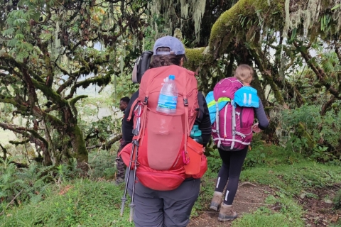 Kilimanjaro Abenteuer Tagesausflug