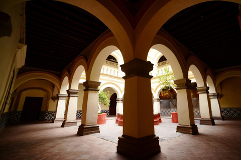 Mexiko-Stadt: Frida Kahlo Casa Azul und Coyoacán Private TourMexiko-Stadt: Frida Kahlo&#039;s Casa Azul und Coyoacán Tour