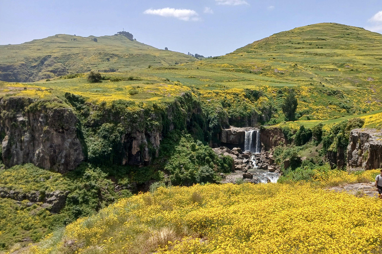 Gondar: 7-tägige Simien Mountains Wandertour